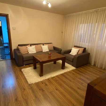 Apartament Doua Camere Nagybánya Kültér fotó