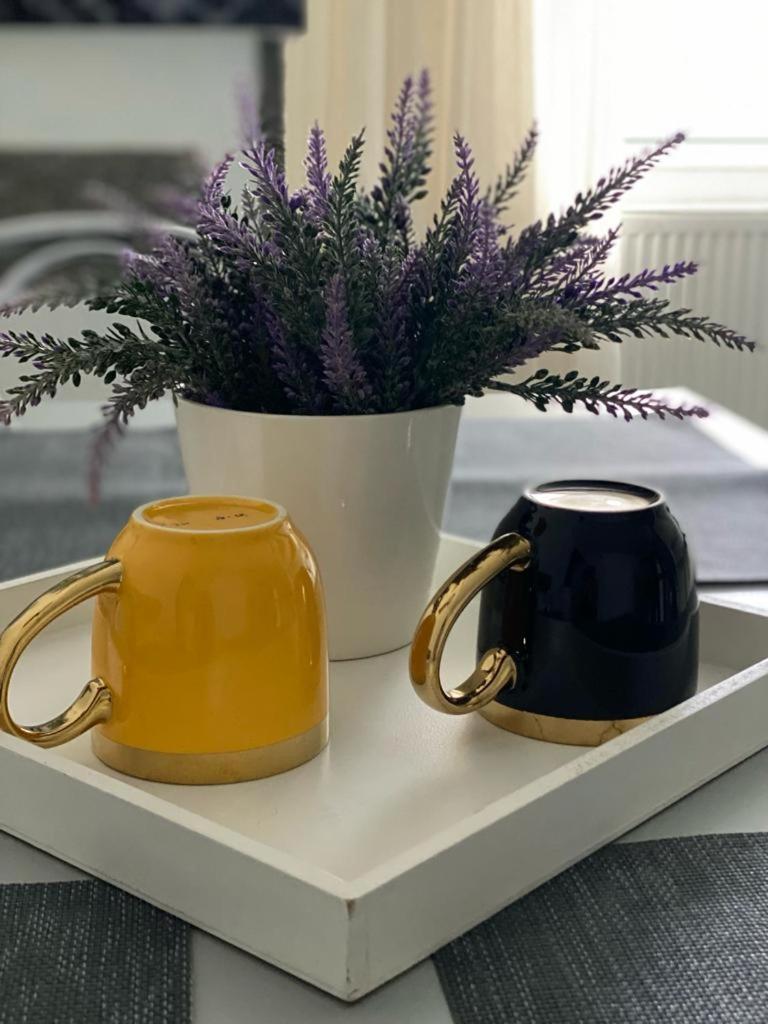 Apartament Doua Camere Nagybánya Kültér fotó