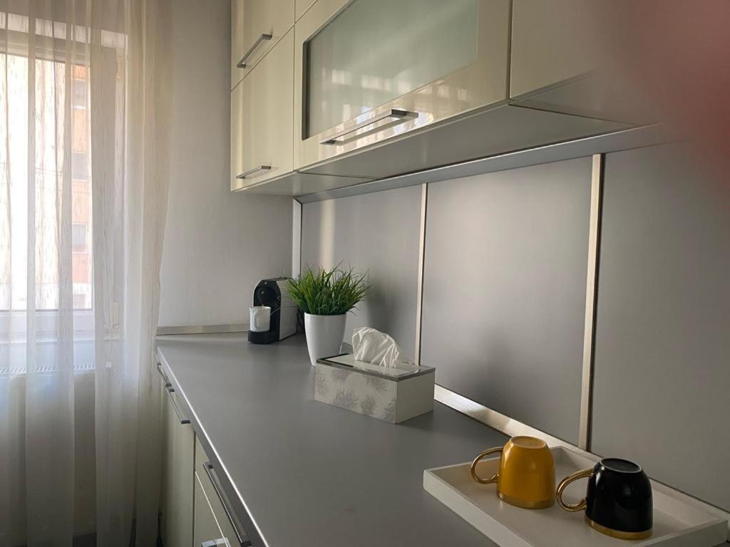 Apartament Doua Camere Nagybánya Kültér fotó